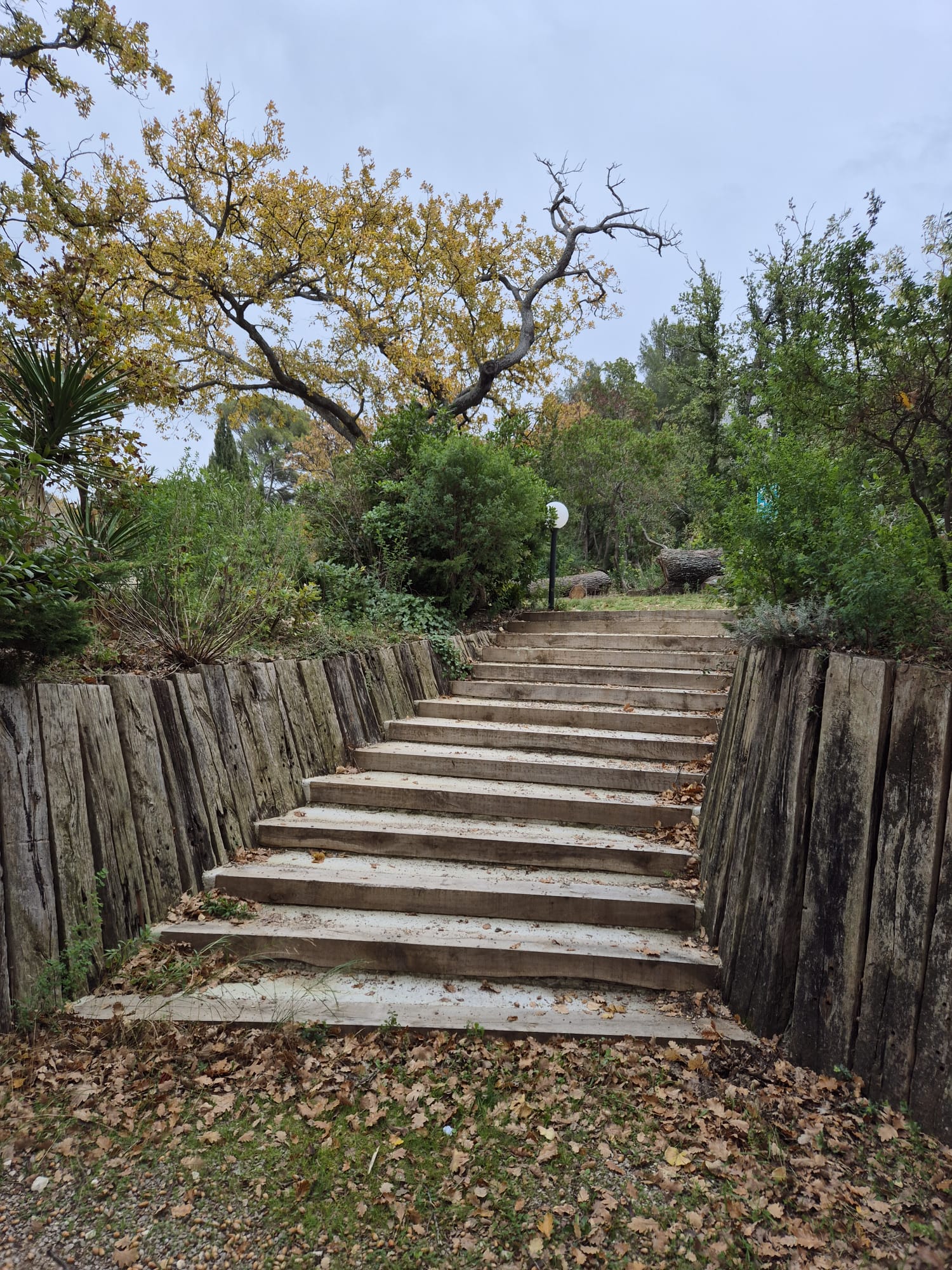 Description of the image